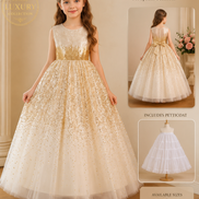 Luxury Gold Sparkle Princess Dress with Petticoat | Girls Party & Birthday Dress (Ages 4-7)