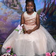 Luxury Gold Sparkle Princess Dress with Petticoat | Girls Party & Birthday Dress (Ages 4-7)