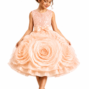 Young girl wearing a peach floral dress with a tiara on a white background
