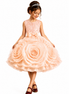 Young girl wearing a peach floral dress with a tiara on a white background