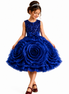 Young girl wearing a blue floral dress with a tiara on a white background